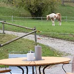 Gersmuehle Holiday home Satteldorf