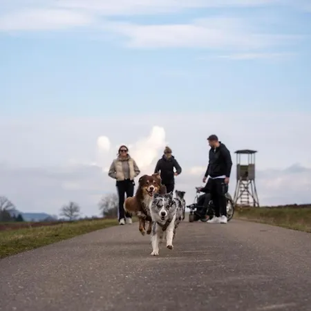 펜션 Gersmuehle Satteldorf