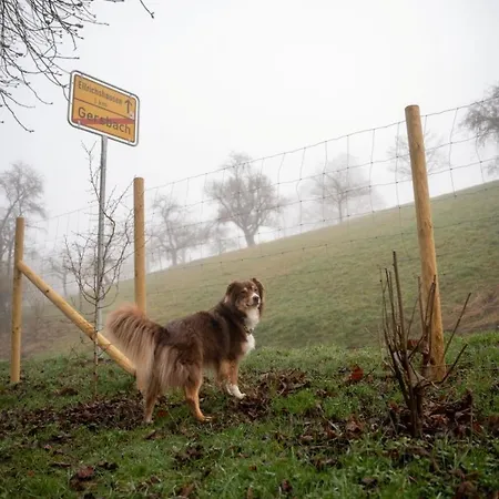 Gersmuehle Casa vacanze Satteldorf