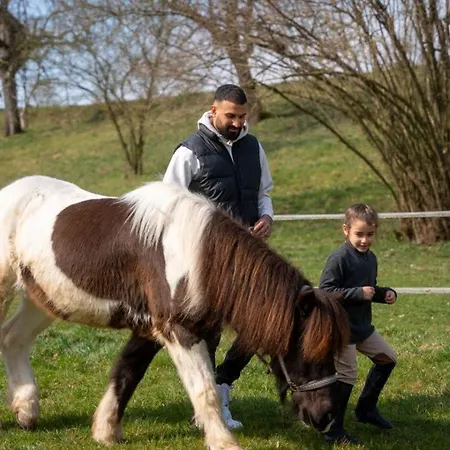 Gersmuehle * Satteldorf