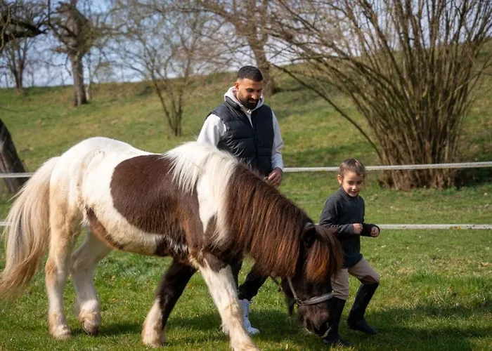 Gersmuehle Holiday home
